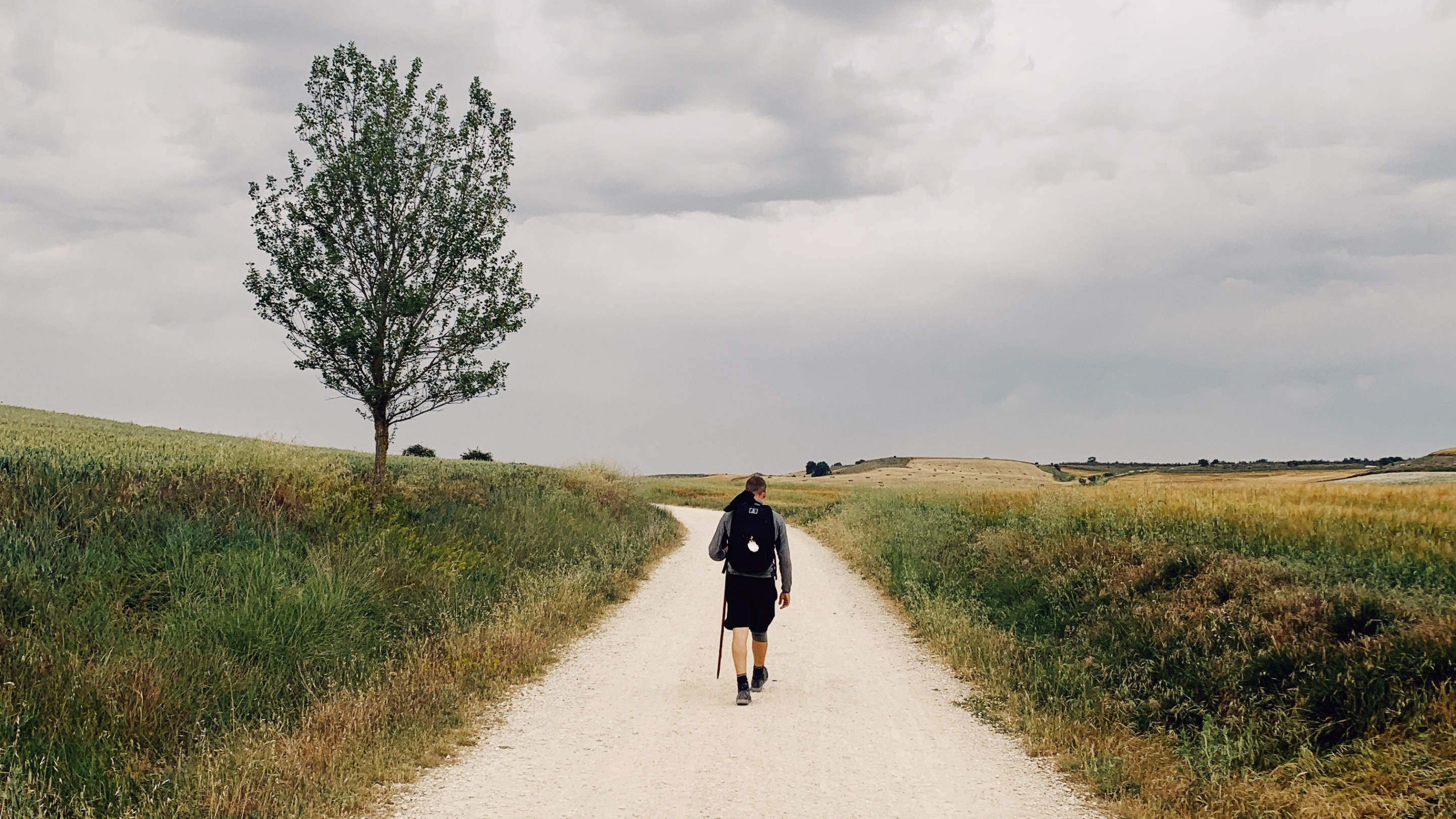 Walking the Camino