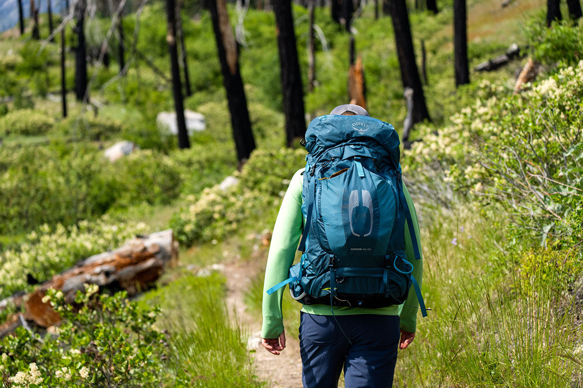 Hiking backpack sale shop