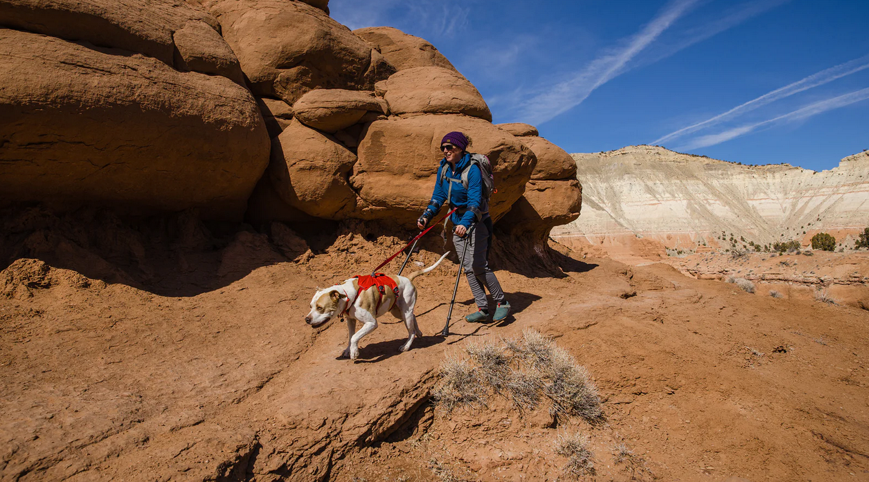 Dog Gear Backpacking Light Australia