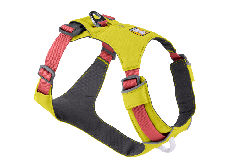Side Release Buckle Strap - Assorted Colors 1 x 36 - Alpenglow