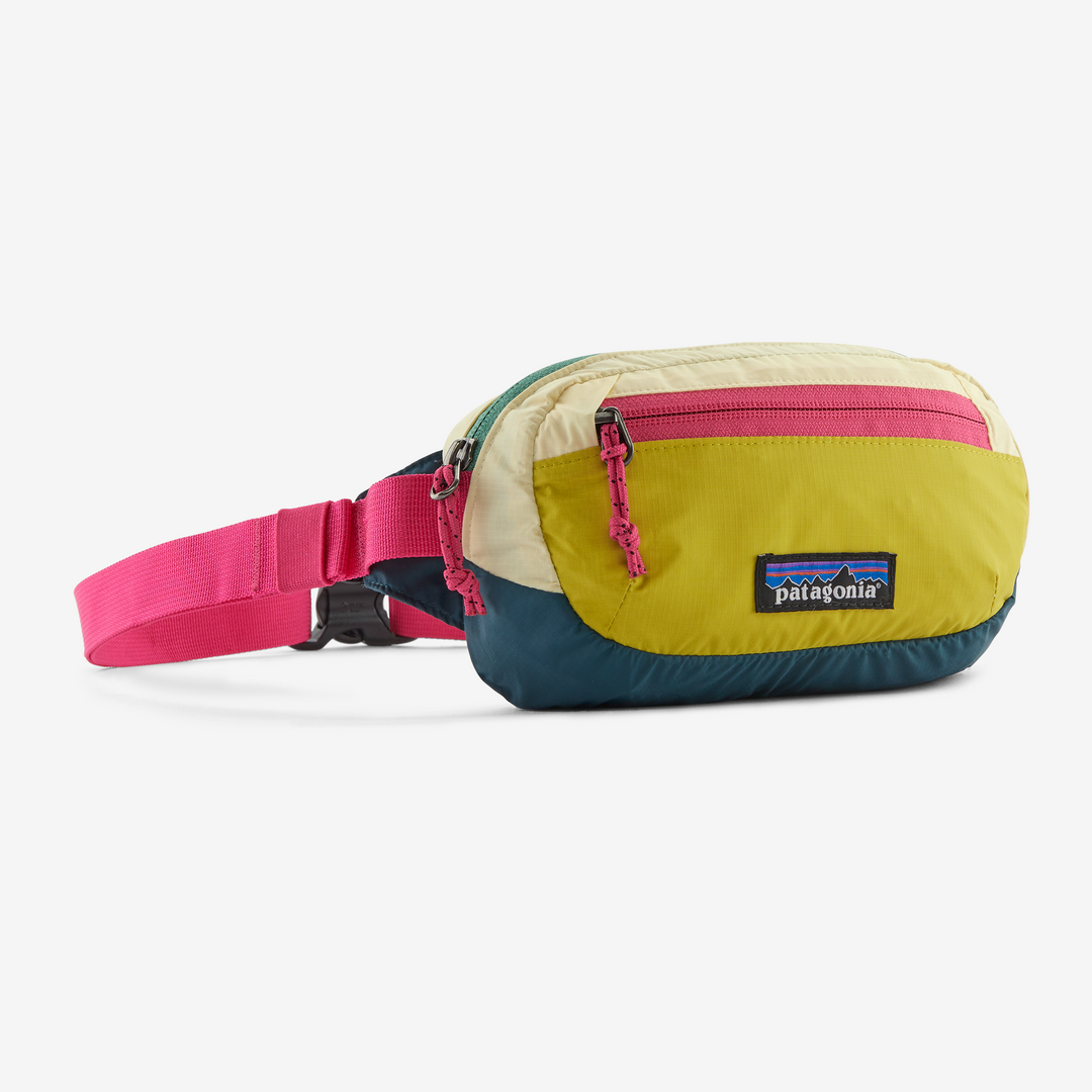 Patagonia Terravia Mini Hip Pack