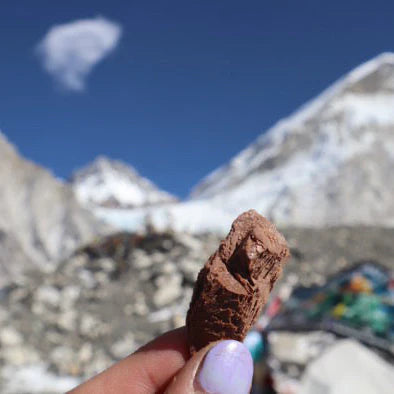 Campers Pantry Freeze Dried Chocolate Gelato Ice Cream