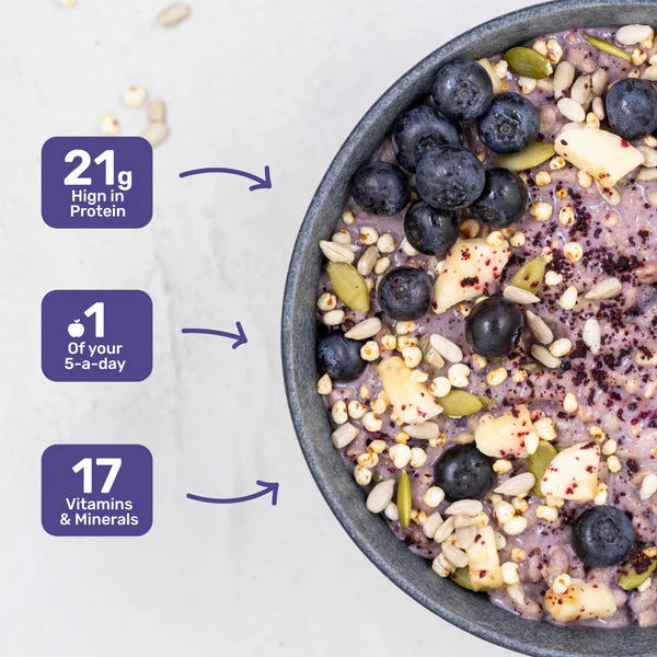 Radix Nutrition Original Breakfast Blueberry