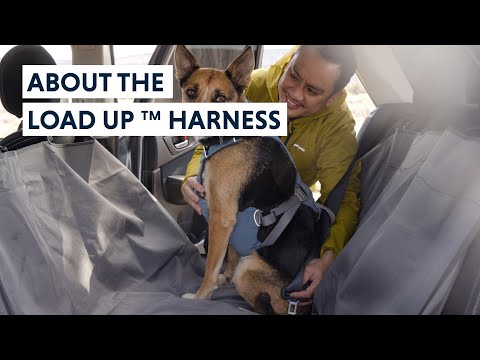 Ruffwear Load Up Dog Car Harness
