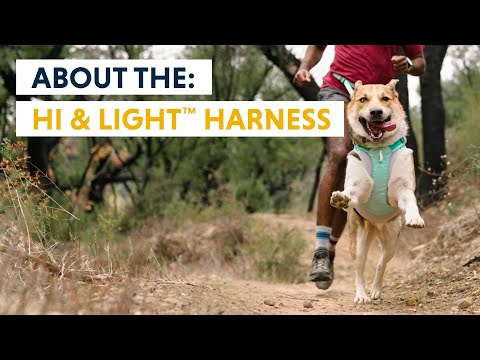 Ruffwear Hi & Light Lightweight Dog Harness