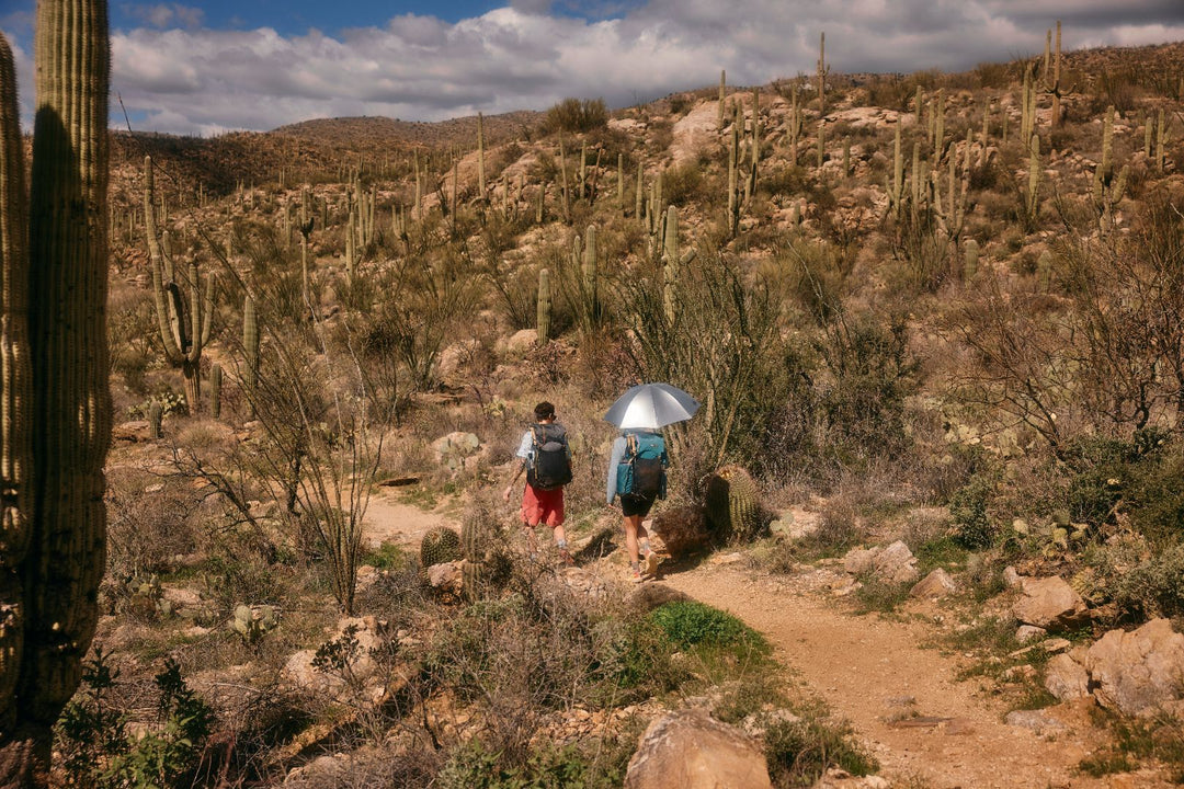 Trekking Umbrella Guide