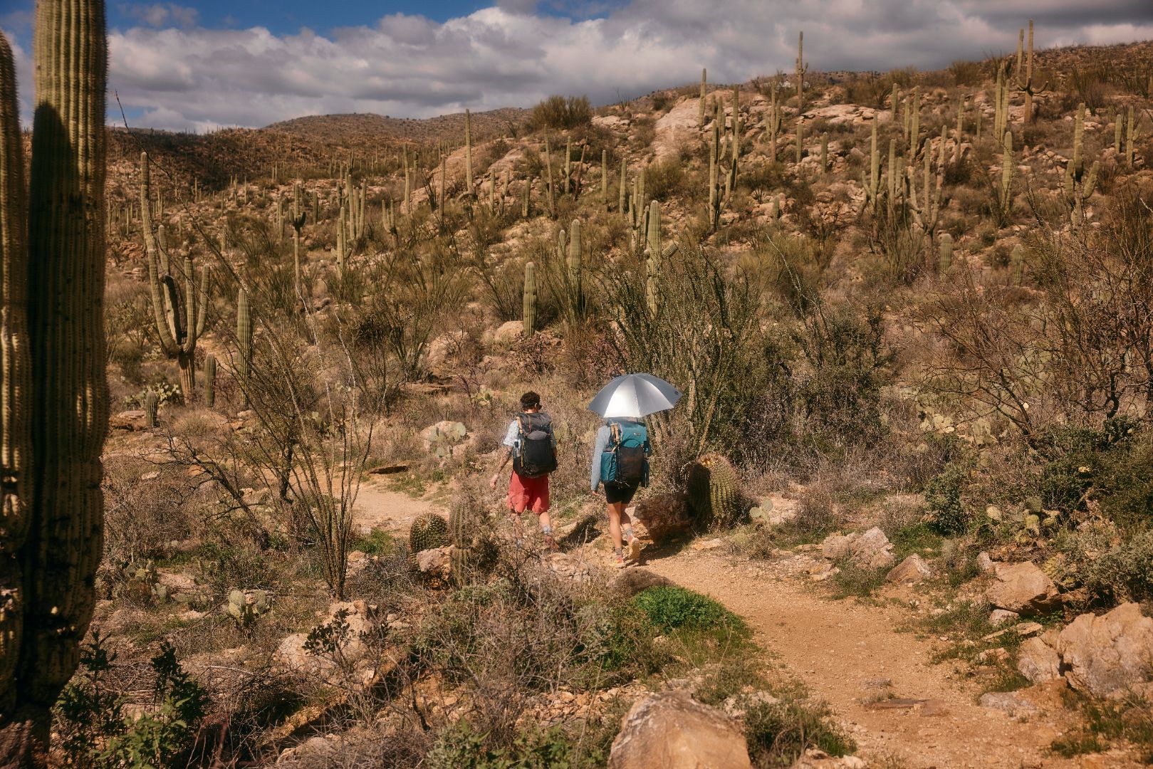 Trekking Umbrella Guide