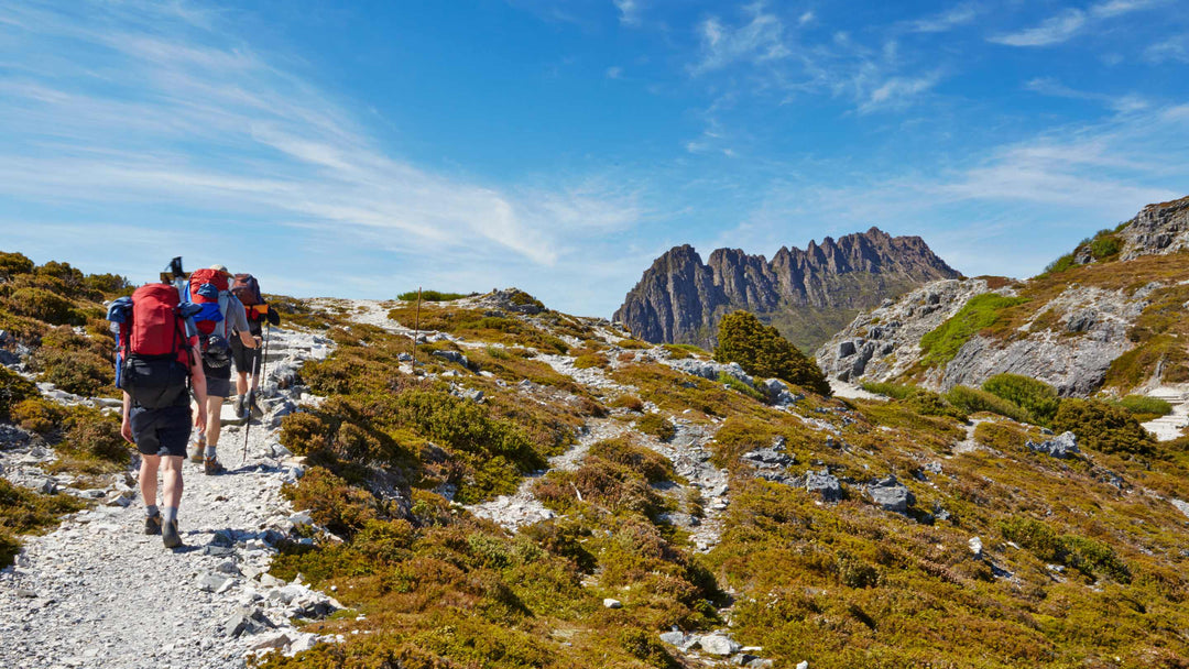 Overland Track Gear List