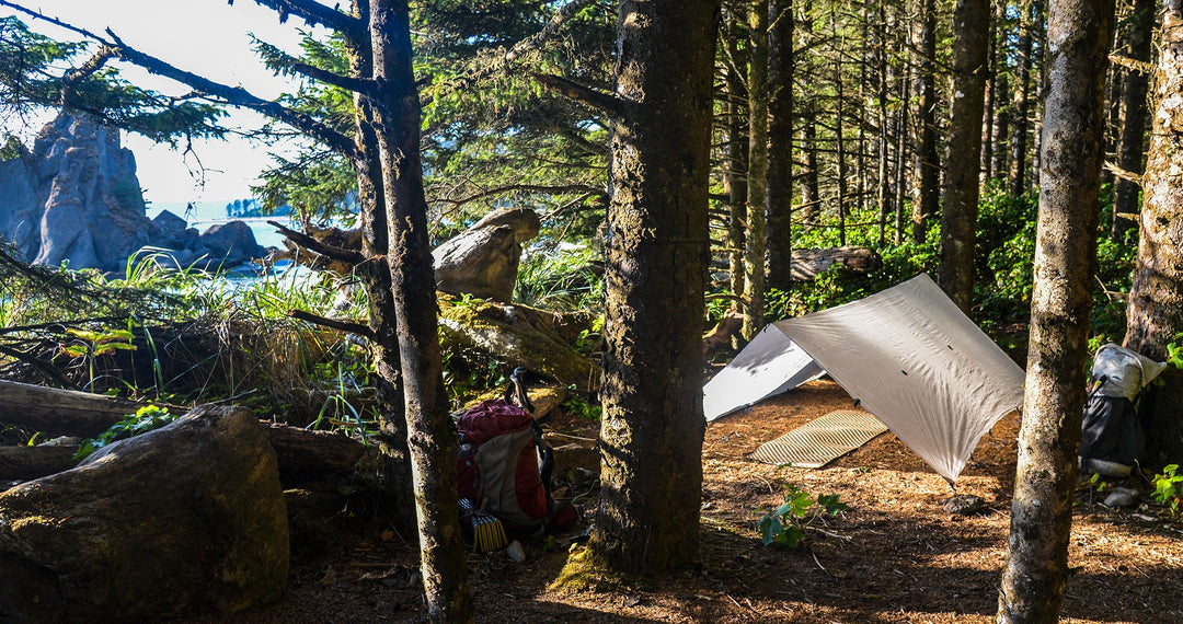 Fastpacking Tents & Shelters