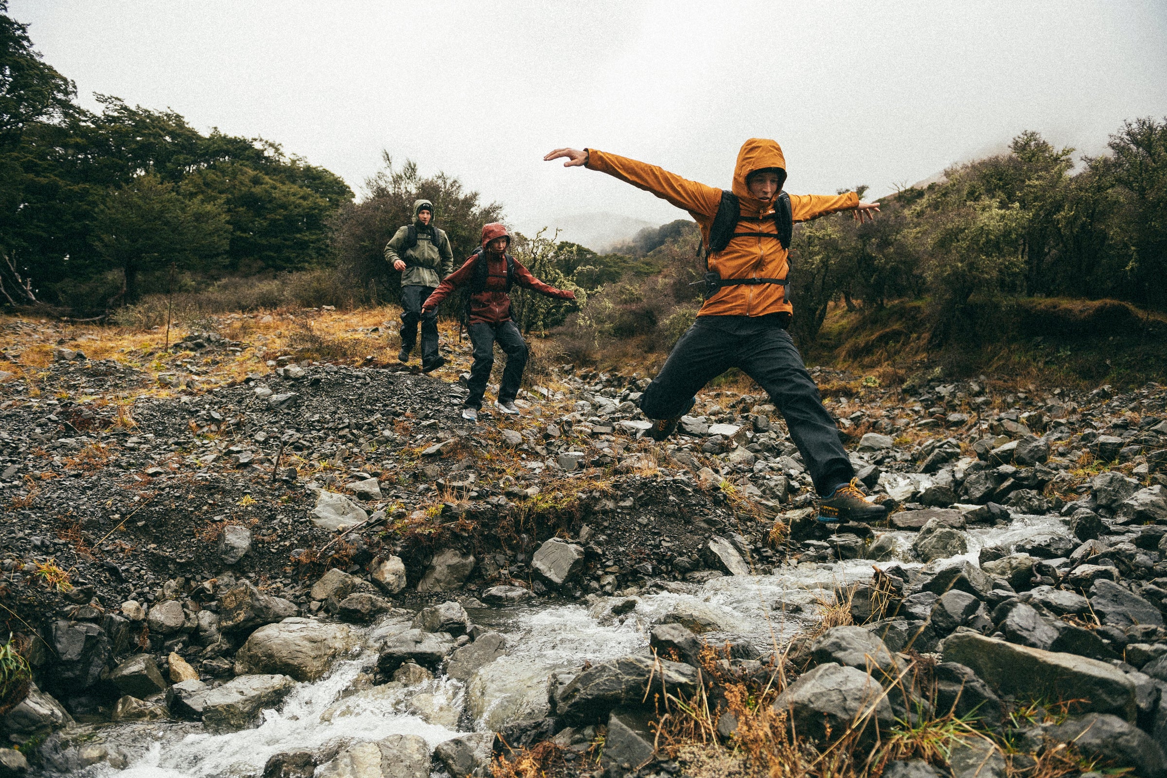 Black Friday Specials