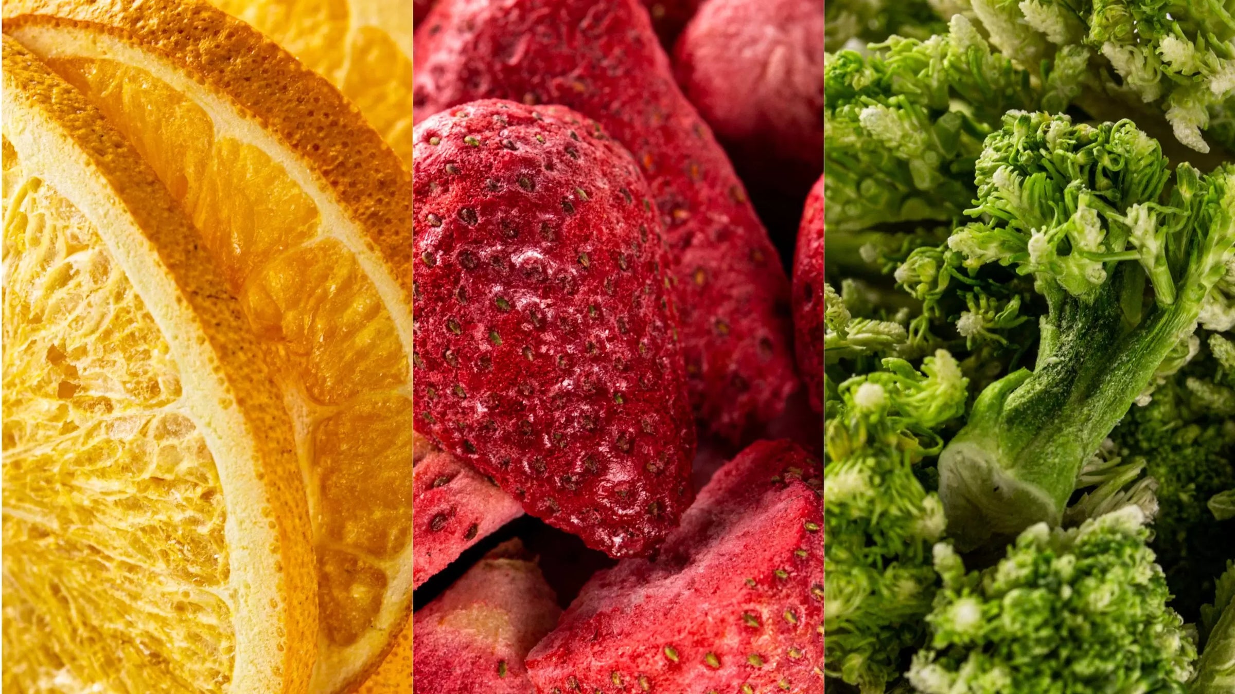 Forager Foods
