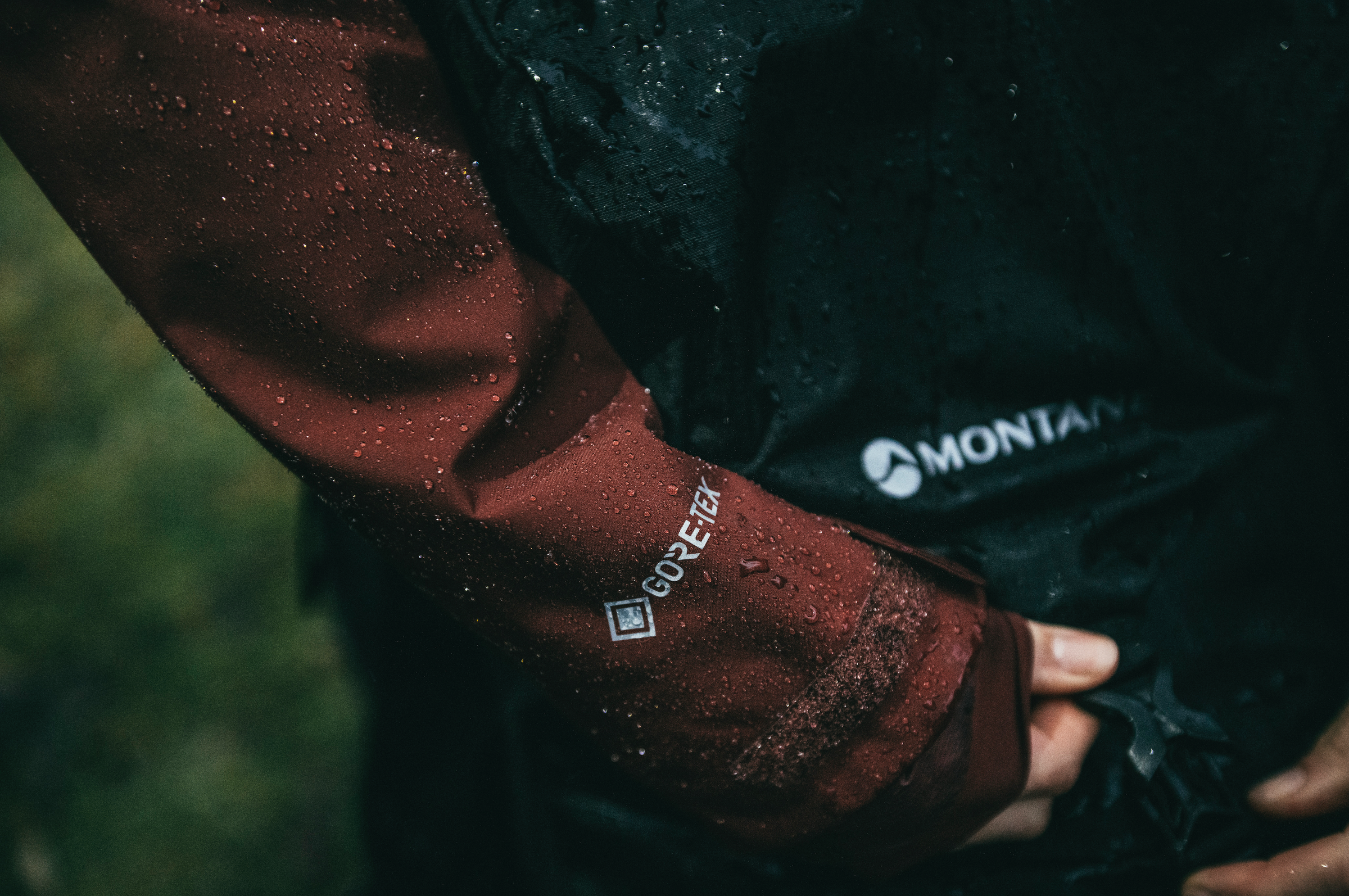 End of Season Clearance