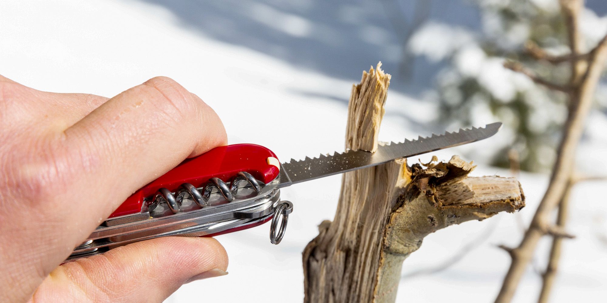 Victorinox