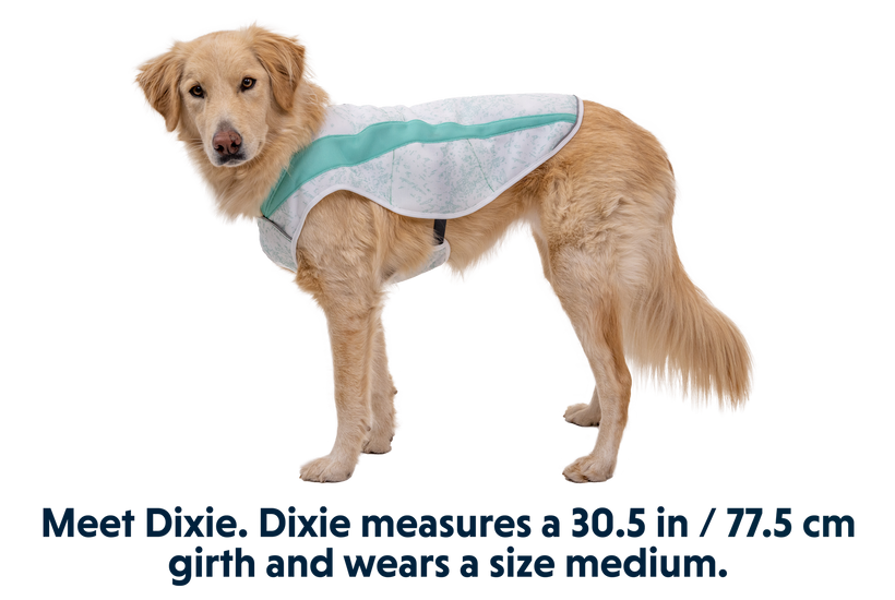 Ruffwear Swamp Cooler Cooling Dog Vest