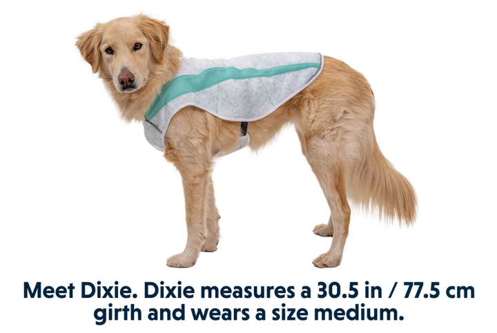 Ruffwear Swamp Cooler Cooling Dog Vest