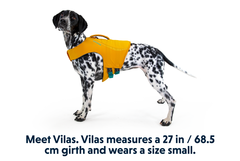 Ruffwear Float Coat Dog Life Jacket