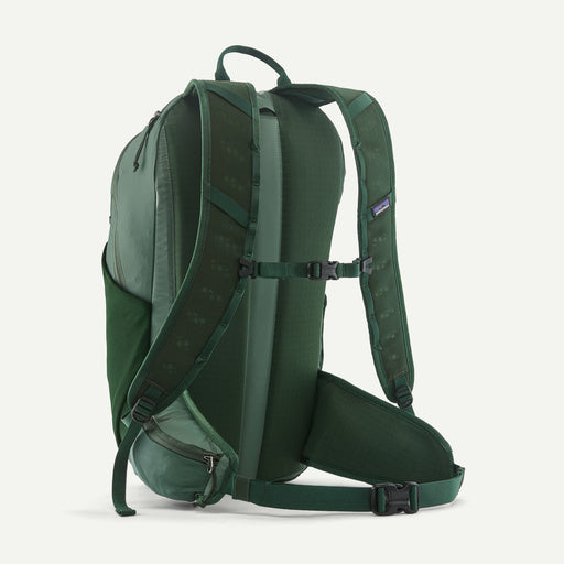 A dark green Patagonia backpack shown from the back, featuring padded shoulder straps, a top carry handle, a side pocket, and a compression strap with buckles, set against a plain off-white background.