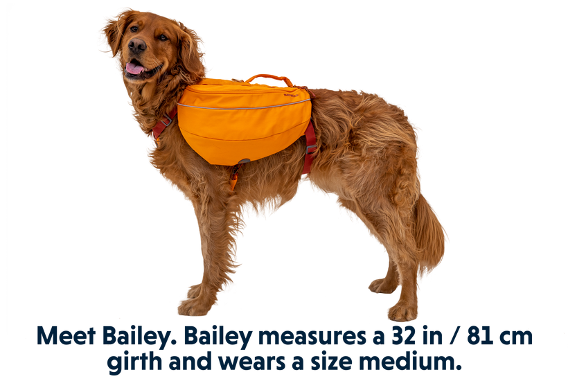 Ruffwear Approach Dog Backpack