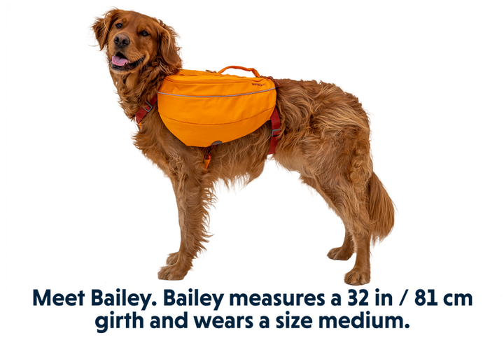 Ruffwear Approach Dog Backpack