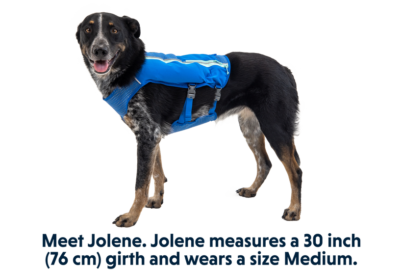 Ruffwear Trail Runner Dog Running Vest