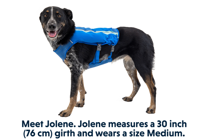 Ruffwear Trail Runner Dog Running Vest