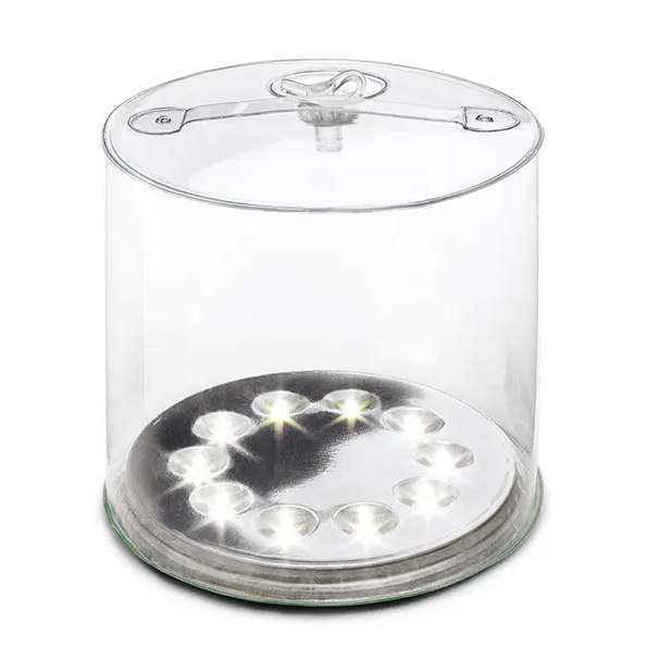 Transparent inflatable LED lamp on a white background