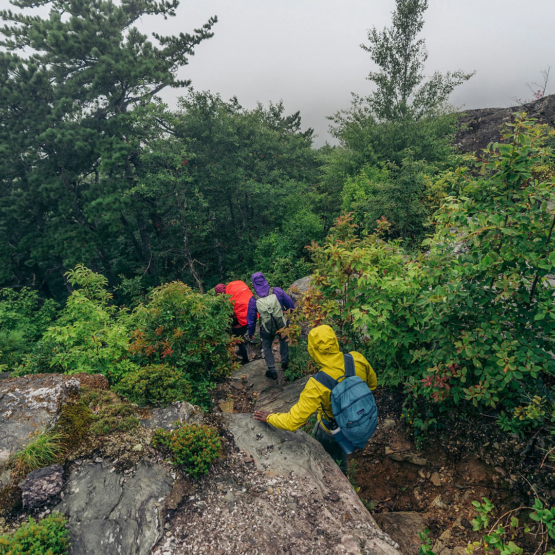 Hikers on a rocky trail surrounded by greenery on a foggy day
