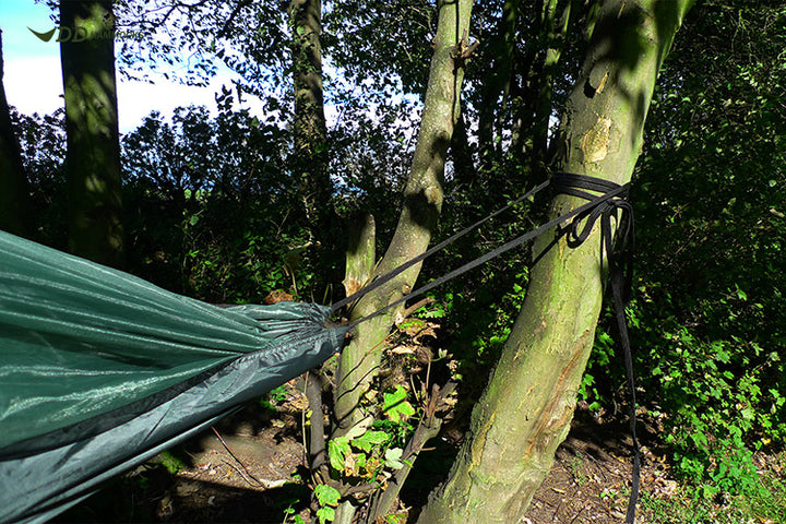 DD Hammocks Strong Webbing 10m