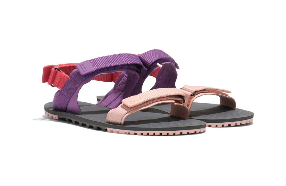 Two pink and purple sandals, on a white background.