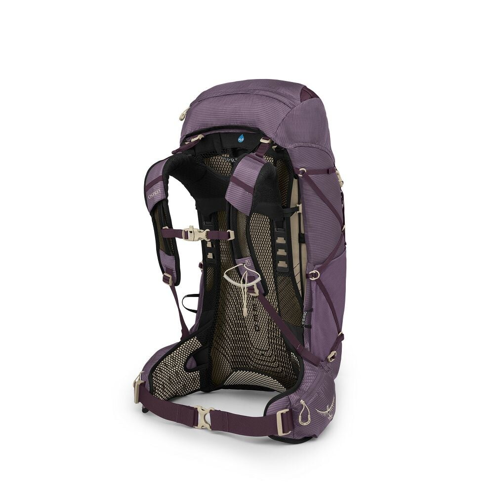 Purple hiking backpack on a white background