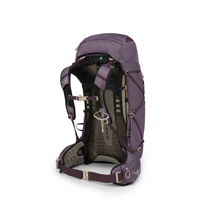 Purple hiking backpack on a white background