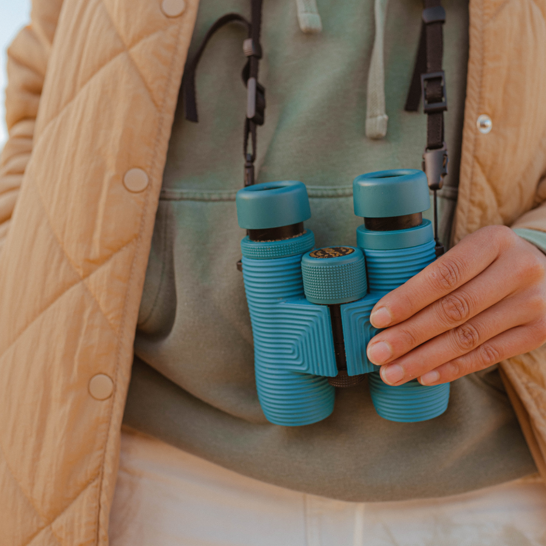 Person holding blue binoculars