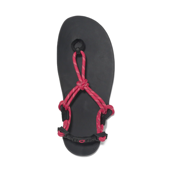 Xero Shoes Genesis Sandal Women's