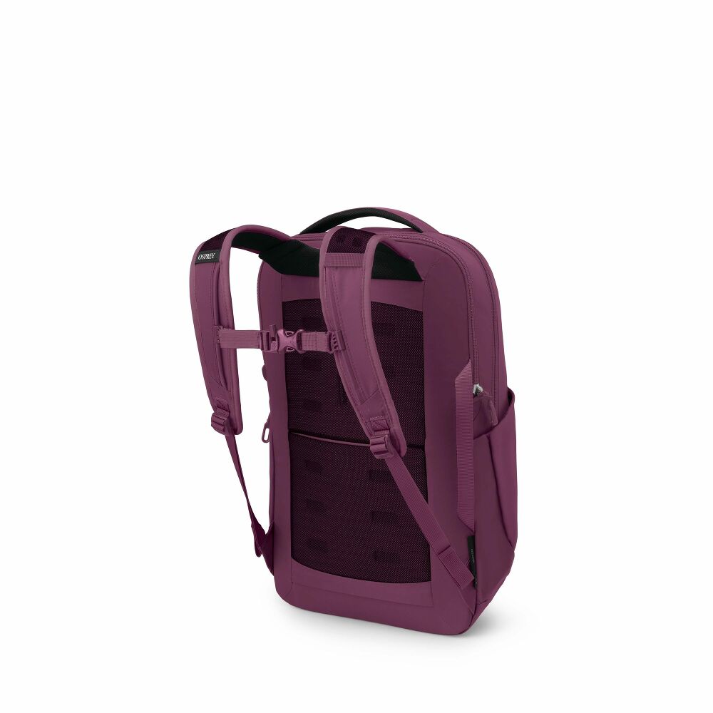Purple backpack on a white background