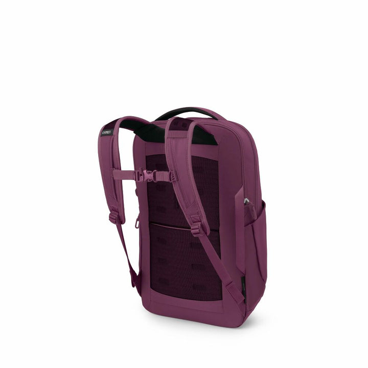 Purple backpack on a white background