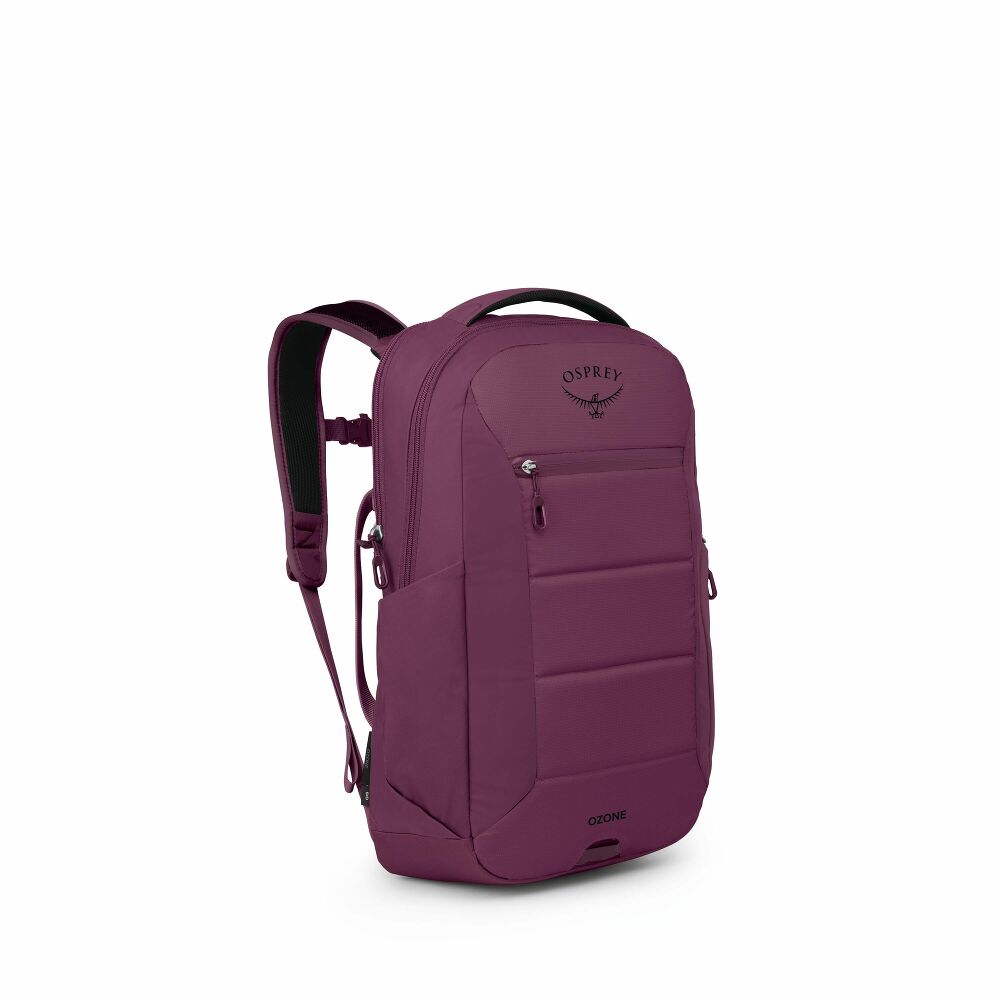 Purple Osprey backpack on a white background