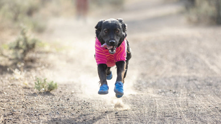 Ruffwear Hi & Light Trail Shoes