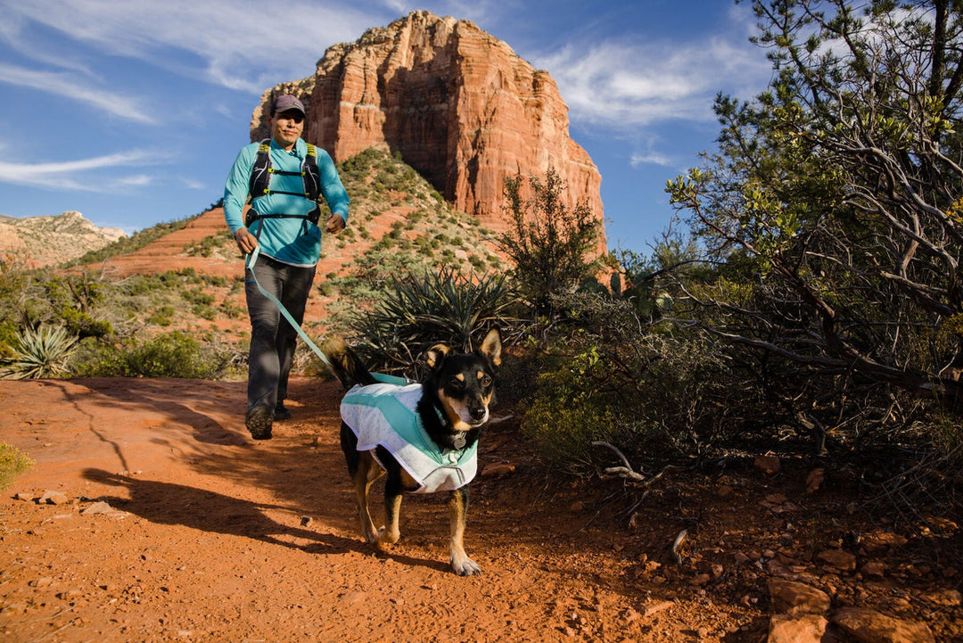 Ruffwear Swamp Cooler Cooling Dog Vest