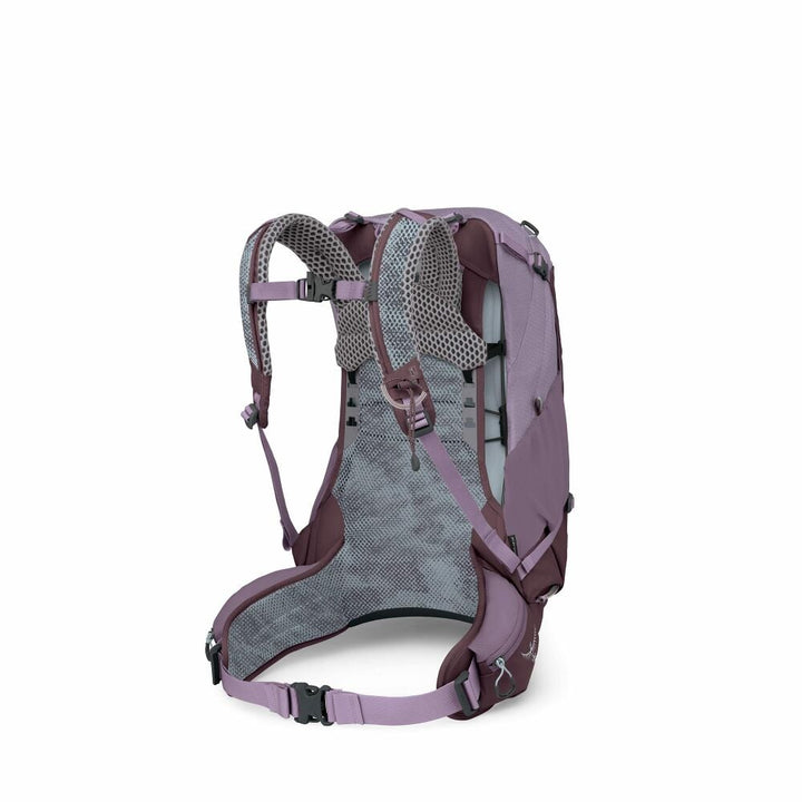 Purple and grey backpack on a white background