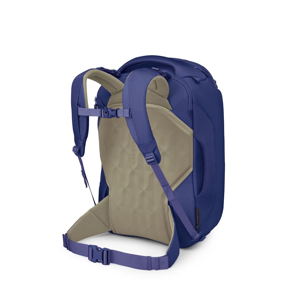 A blue and beige backpack shown from the back, featuring padded shoulder straps, a breathable mesh back panel, and adjustable straps on a clean white background.
