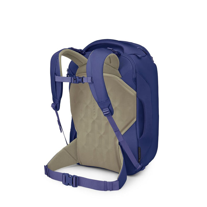 A blue and beige backpack shown from the back, featuring padded shoulder straps, a breathable mesh back panel, and adjustable straps on a clean white background.