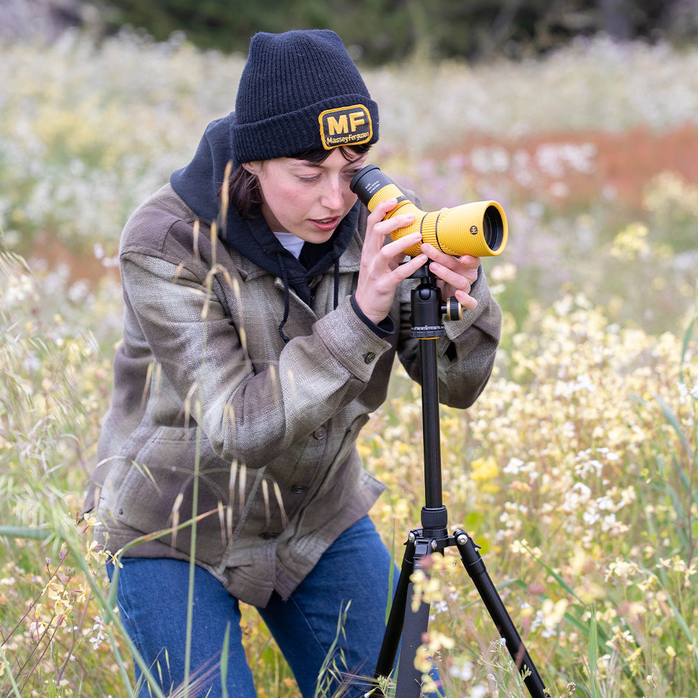 Person using a yellow spotting scope on a black and gold tripod on a field of flowers.