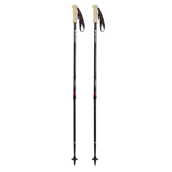 Mountainsmith Andesite Trekking Poles