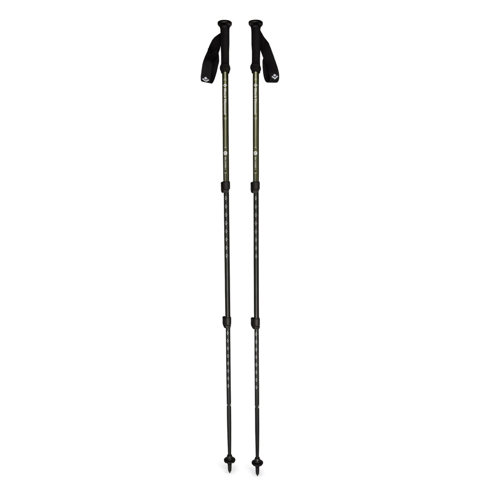 Green trekking poles, extended, on a white background
