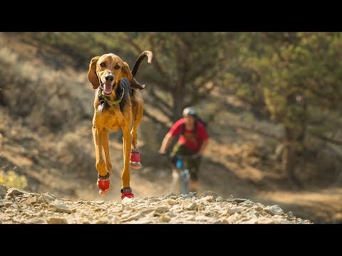 Ruffwear Grip Trex Dog Boots