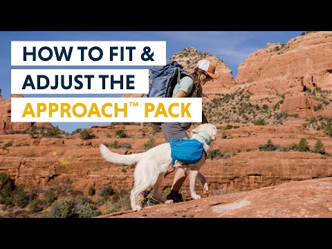 Ruffwear Approach Dog Backpack