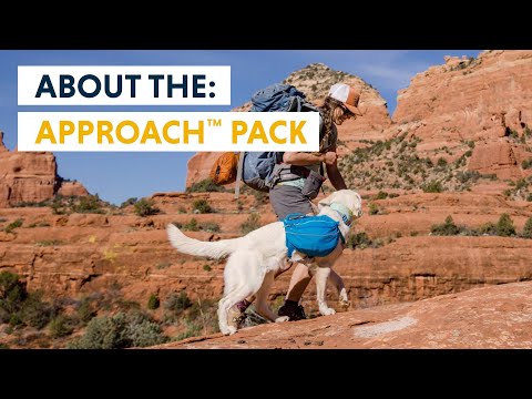 Ruffwear Approach Dog Backpack