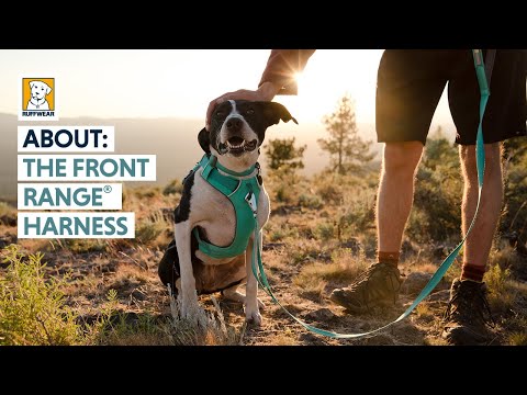 Ruffwear Front Range Dog Harness