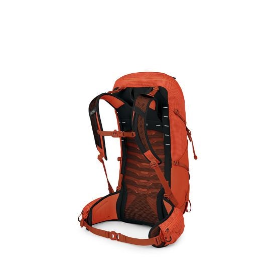 Osprey Talon Pro 30 Hiking Backpack