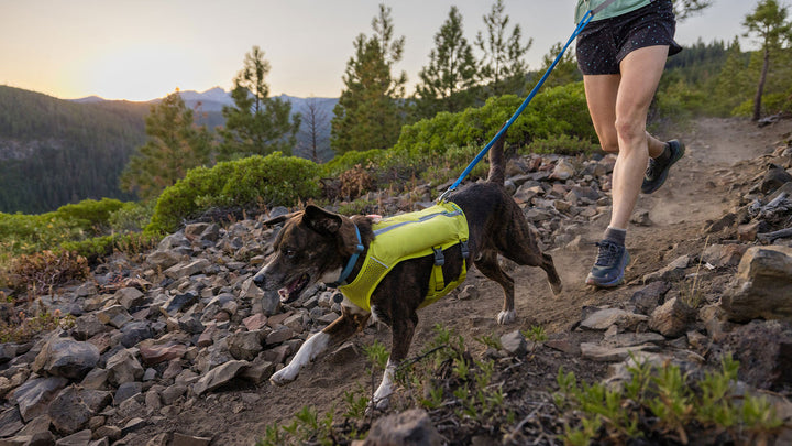 Ruffwear Trail Runner Dog Leash
